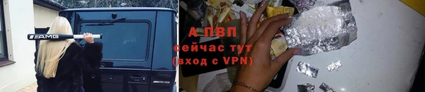 стафф Семёнов
