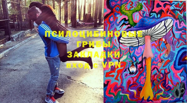 гашиш Богородицк