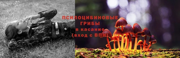 гашиш Богородицк